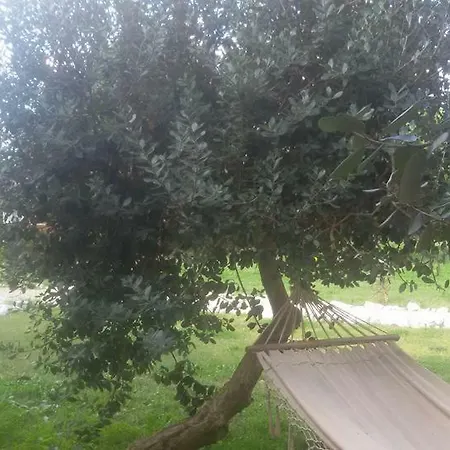 Farm stay Giulia