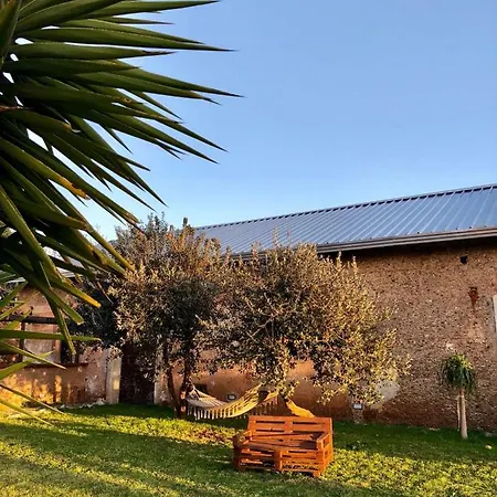 Giulia Lamezia Terme